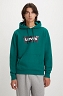 Bluza Męska Levi`s® Standard Graphic Hoodie Evergreen 38424-0041