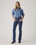 Spodnie Damskie Levi`s® 725™ High Rise Bootcut Triangle Exploration 18759-0234