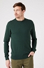 Sweter Męski Wrangler Crewneck Knit Sycamore Green W8A02PG49