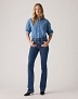 Spodnie Damskie Levi`s® 725™ High Rise Bootcut Triangle Exploration 18759-0234