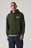Bluza Męska Levi`s® Relaxed Fit Graphic Hoodie Serif Logo One Kombu Green 38479-0410