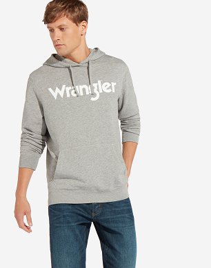 Bluza Męskie Wrangler Logo Hoodie Mid Grey MEL W6590HA37