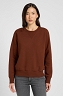 Bluza Damska Lee Raglan Crew Sws Luxe Brown 112371293