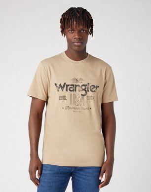 T-shirt Męski Wrangler Americana Tee Chinchilla W70PEEH46
