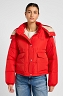 Kurtka Damska Lee Hooded Short Puffer True Red 112355190
