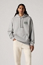 Bluza Męska Levi`s® Relaxed Fit Graphic Hoodie Serif Logo Midtone Heather Grey 38479-0376