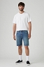 Szorty Męskie Levi`s® 405™ Standard Shorts Comeback Tour Shorts 39864-0178