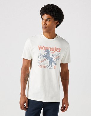 Koszulka Męska Wrangler Americana Tee Worn White W112350722