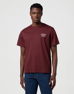 Koszulka Męska Wrangler Graphic Tee Decadent Chocolate 112371419