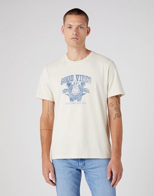 T-shirt Męski Wrangler Varsity Tee Turtledove W7BLEEC23