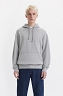 Bluza Męska Levi`s® Relaxed Fit Graphic Hoodie Chrome Headline Midtone Heather Gray 38479-0308