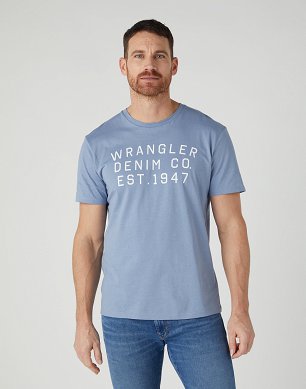 T-shirt Męski Wrangler Graphic Tee Stone Wash Blue W7CAD3X4Q