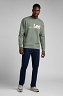 Bluza Męska Lee Crew Sws Fort Green LV25EJ43